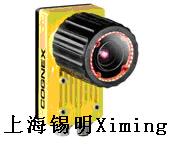 In-Sight �̶�ʽ������
