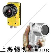 In-Sight  �ͺź͹��