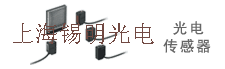 ��紫����